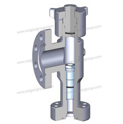 Positive Choke Valve