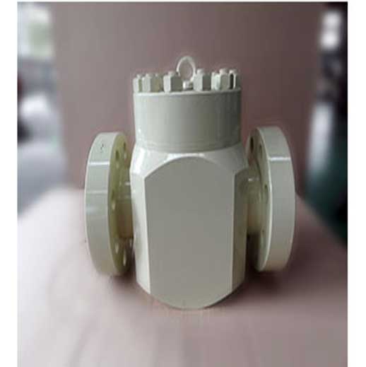 Swing Check Valve