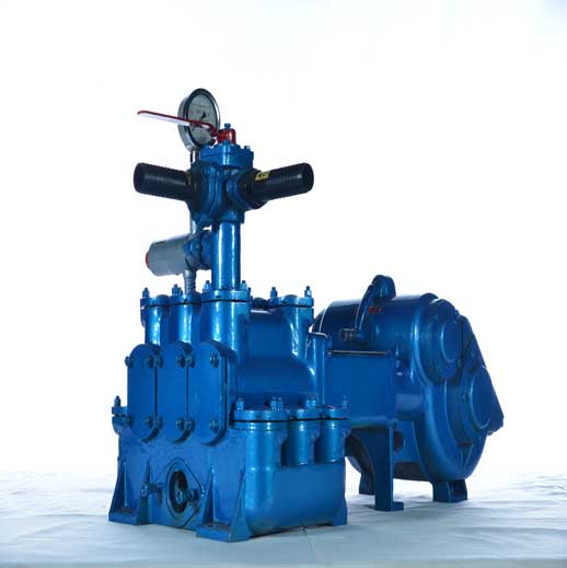 BW450 Horizontal Three Cylinder Reciprocating Double Acting Piston Pump