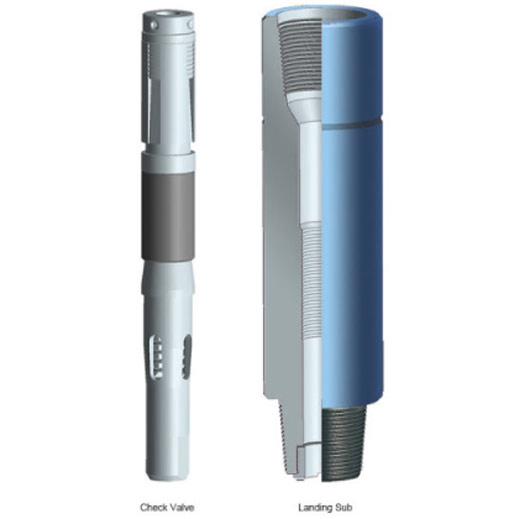 Retrievable Drop-in Check Valve