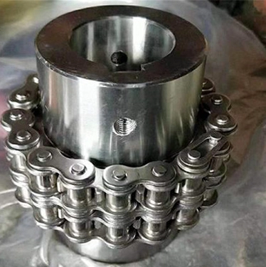 GL Roller Chain Coupling