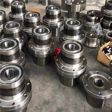 Giicl Drum Gear Coupling2